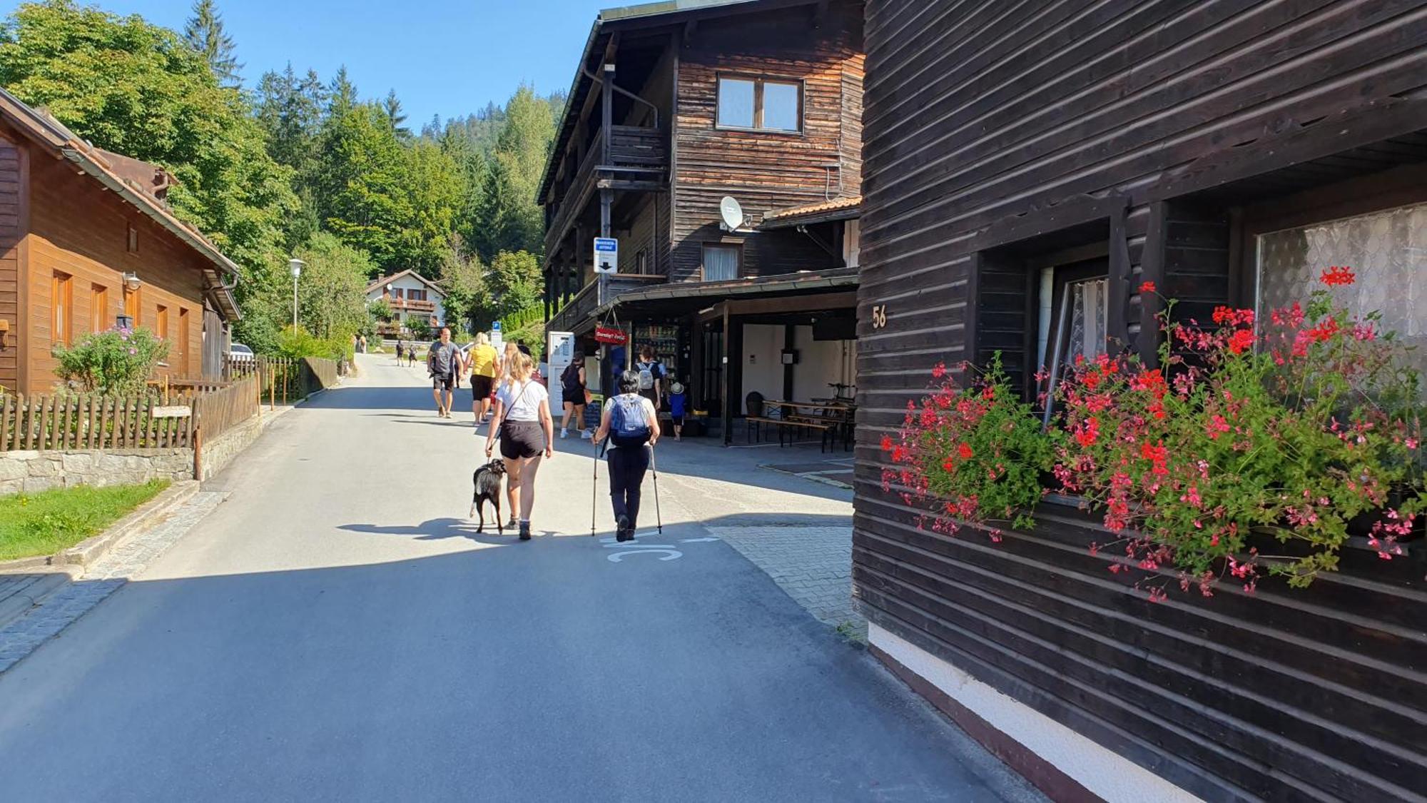 Hotel Waldhaus Боденмайс Екстер'єр фото